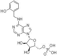 N-[(2-Hydroxyphenyl)methyl]-5'-adenylic acid molecular structure (CAS 1242061-01-3)
