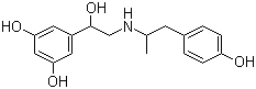 Fenoterol molecular structure (CAS 13392-18-2)