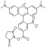 5-Carboxytetramethylrhodamine succinimidyl ester molecular structure (CAS 150810-68-7)