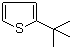 结构式 CAS# 1689-78-7, 2-叔丁基噻吩