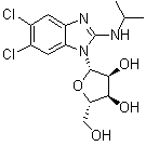 Maribavir molecular structure (CAS 176161-24-3)