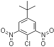 2-Chloro-5-(1,1-dimethylethyl)-1,3-dinitrobenzene molecular structure (CAS 2213-81-2)