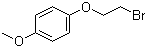 1-(2-Bromoethoxy)-4-methoxybenzene molecular structure (CAS 22921-76-2)