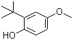 Butylated hydroxyanisole molecular structure (CAS 25013-16-5)