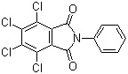 N-Phenyltetrachlorophthalimide molecular structure (CAS 31039-74-4)