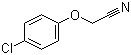 2-(4-Chlorophenoxy)acetonitrile molecular structure (CAS 3598-13-8)