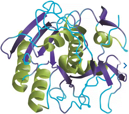 Proteinase K molecular structure (CAS 39450-01-6)