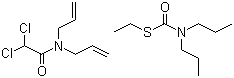 Eradicane E molecular structure (CAS 51990-04-6)
