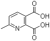 6-Methylpyridine-2,3-dicarboxylic acid molecular structure (CAS 53636-70-7)