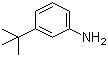 3-tert-Butylaniline molecular structure (CAS 5369-19-7)