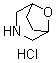 8-Oxa-3-azabicyclo[3.2.1]octane hydrochloride molecular structure (CAS 54745-74-3)