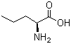 Norvaline molecular structure (CAS 6600-40-4)