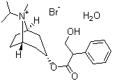 Ipratropium bromide molecular structure (CAS 66985-17-9)