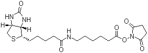 Succinimidyl 6-(biotinamido)hexanoate molecular structure (CAS 72040-63-2)