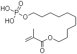 Estenia Opaque Primer molecular structure (CAS 85590-00-7)