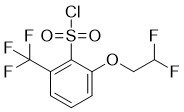 2-(2,2-二氟乙氧基)-6-(三氟甲基)苯-1-磺酰基氯化物分子结构 (CAS 865352-01-8)