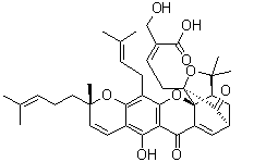 30-羟基表藤黄酸分子结构 (CAS 881027-36-7)