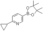 结构式 CAS# 893567-09-4, 6-环丙基吡啶-3-硼酸频那醇酯